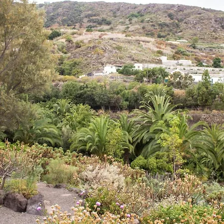 Drago Light Lejlighed